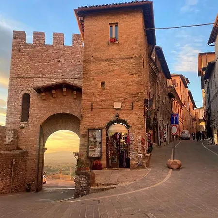 Frate Elia - A 50 Mt Dalla Basilica Di San Francesco * Assisi