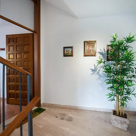 Apartment Frate Elia - A 50 Mt Dalla Basilica Di San Francesco