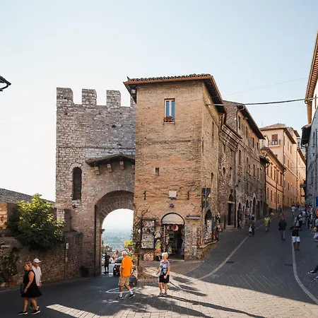 Frate Elia - A 50 Mt Dalla Basilica Di San Francesco * Assisi