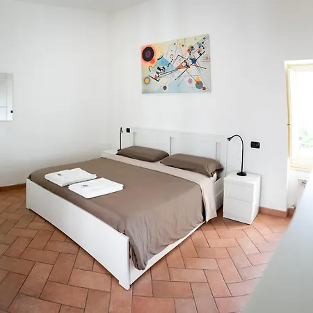 Frate Elia - A 50 Mt Dalla Basilica Di San Francesco *