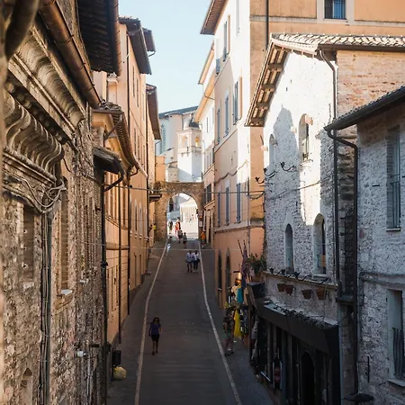 Frate Elia - A 50 Mt Dalla Basilica Di San Francesco *