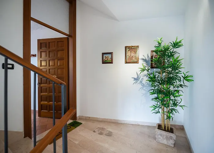 Apartment Frate Elia - A 50 Mt Dalla Basilica Di San Francesco